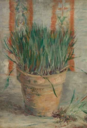 Bloempot met knoflookbieslook